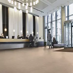 #vinylFlooring
