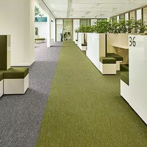 #carpets