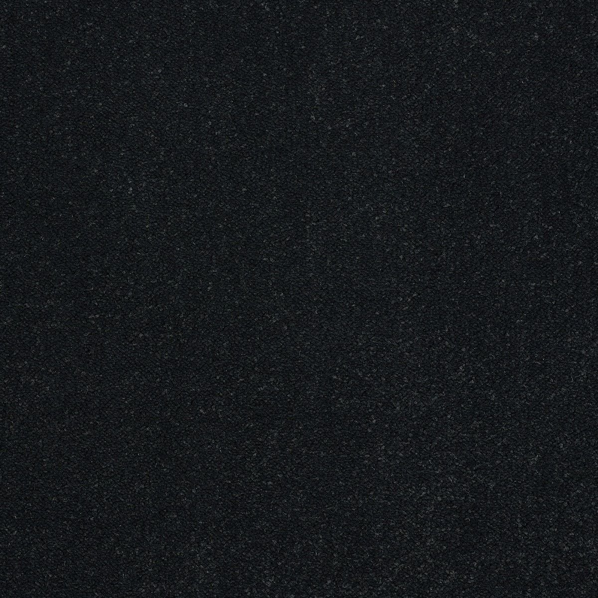 Abingdon Carpet Stainfree Captivation Black Raven