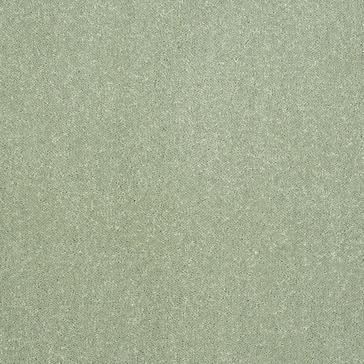 Abingdon Carpet Stainfree Captivation Putting Green