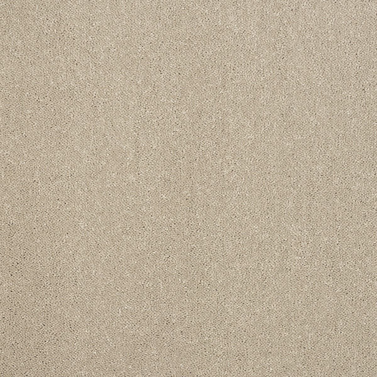 Abingdon Carpet Stainfree Captivation Moon Cloud - Lowest Online Prices