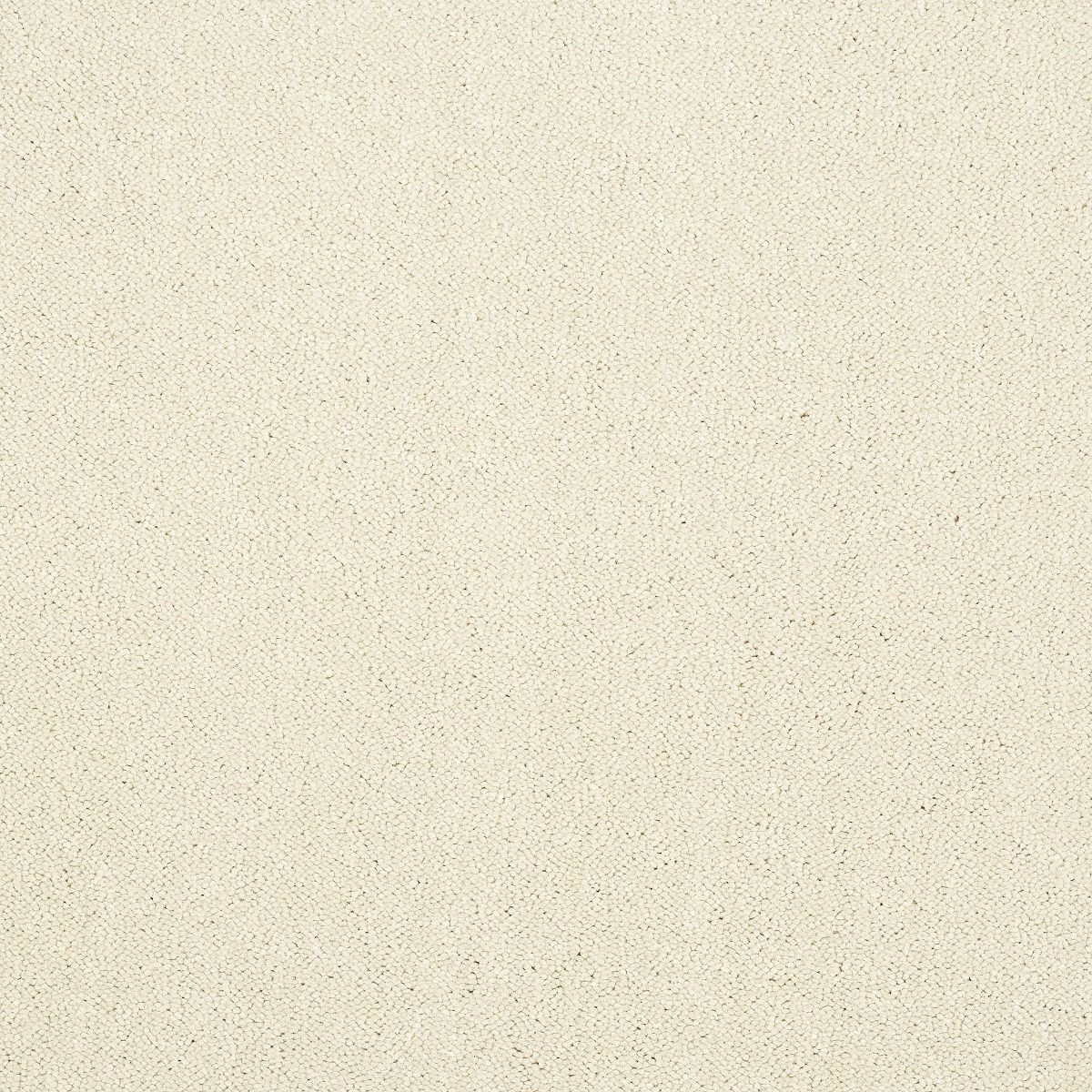 Abingdon Carpet Stainfree Captivation Cloudy Dreams