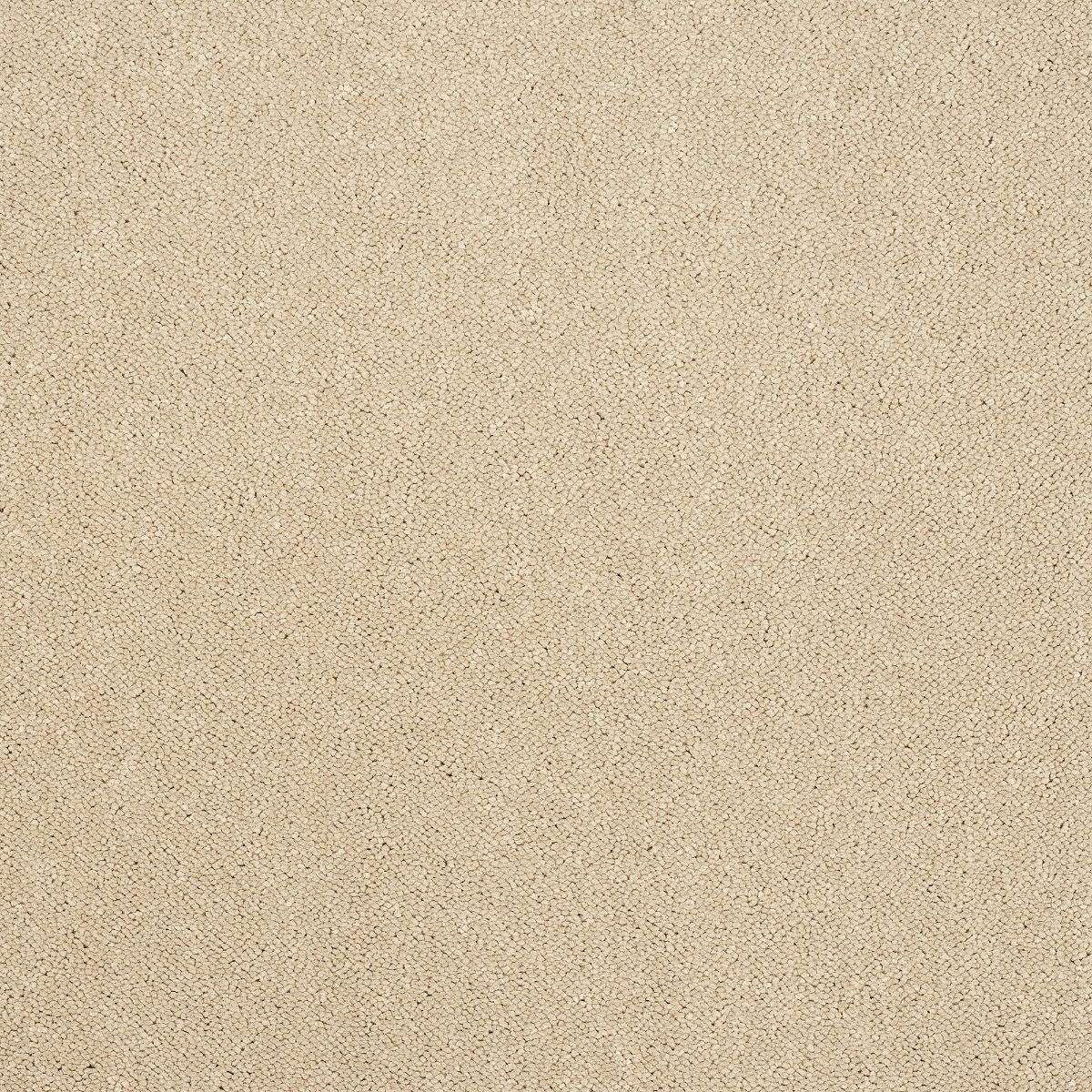 Abingdon Carpet Stainfree Captivation Linen Wash