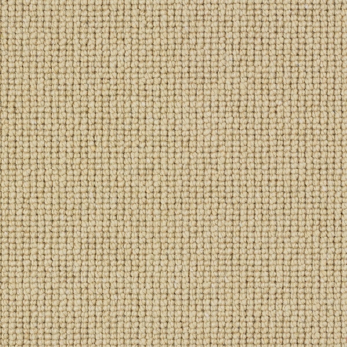Abingdon Carpet Wilton Royal Charter Plain Loop Montadale