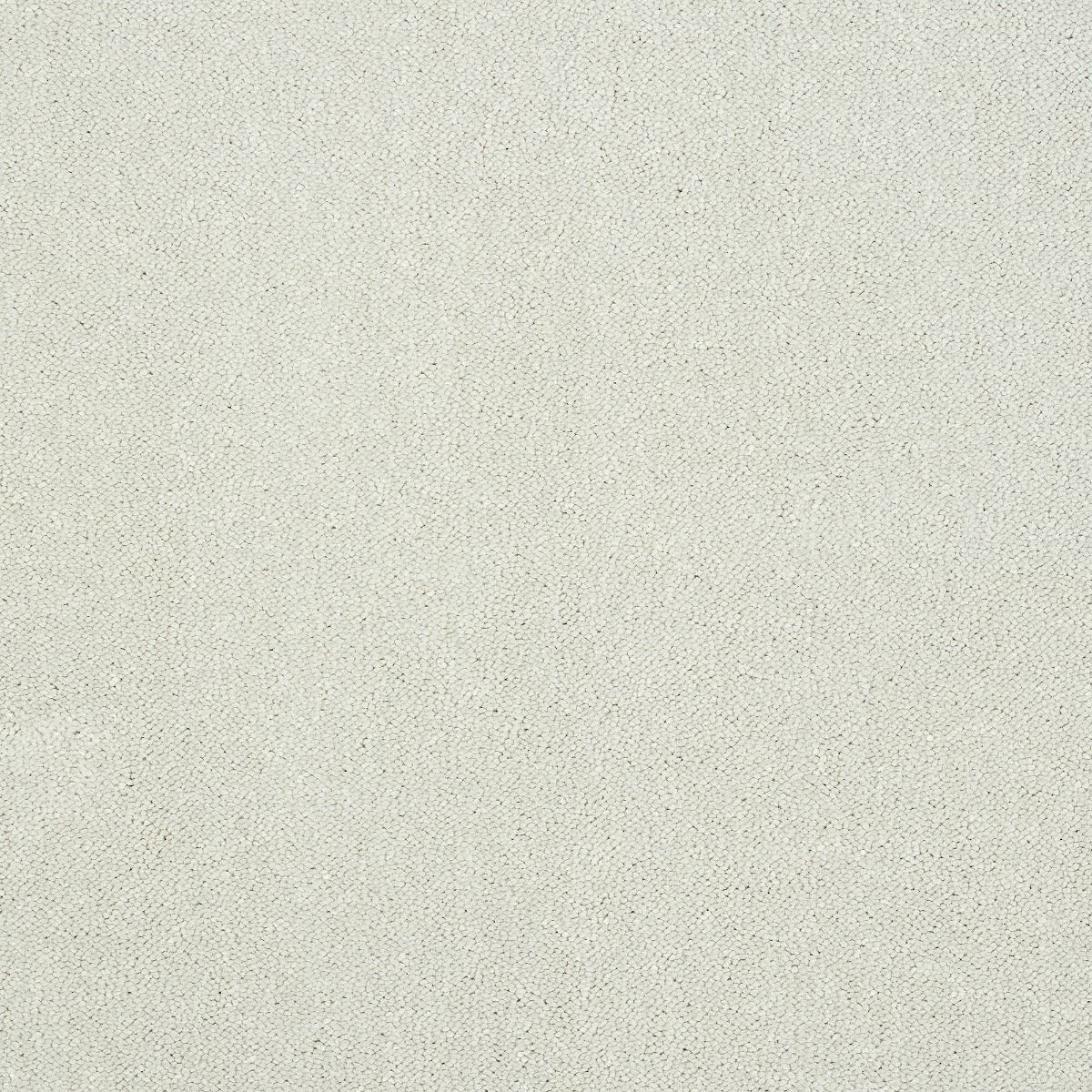 Abingdon Carpet Stainfree Captivation Nimbus Cloud - Lowest Online Prices