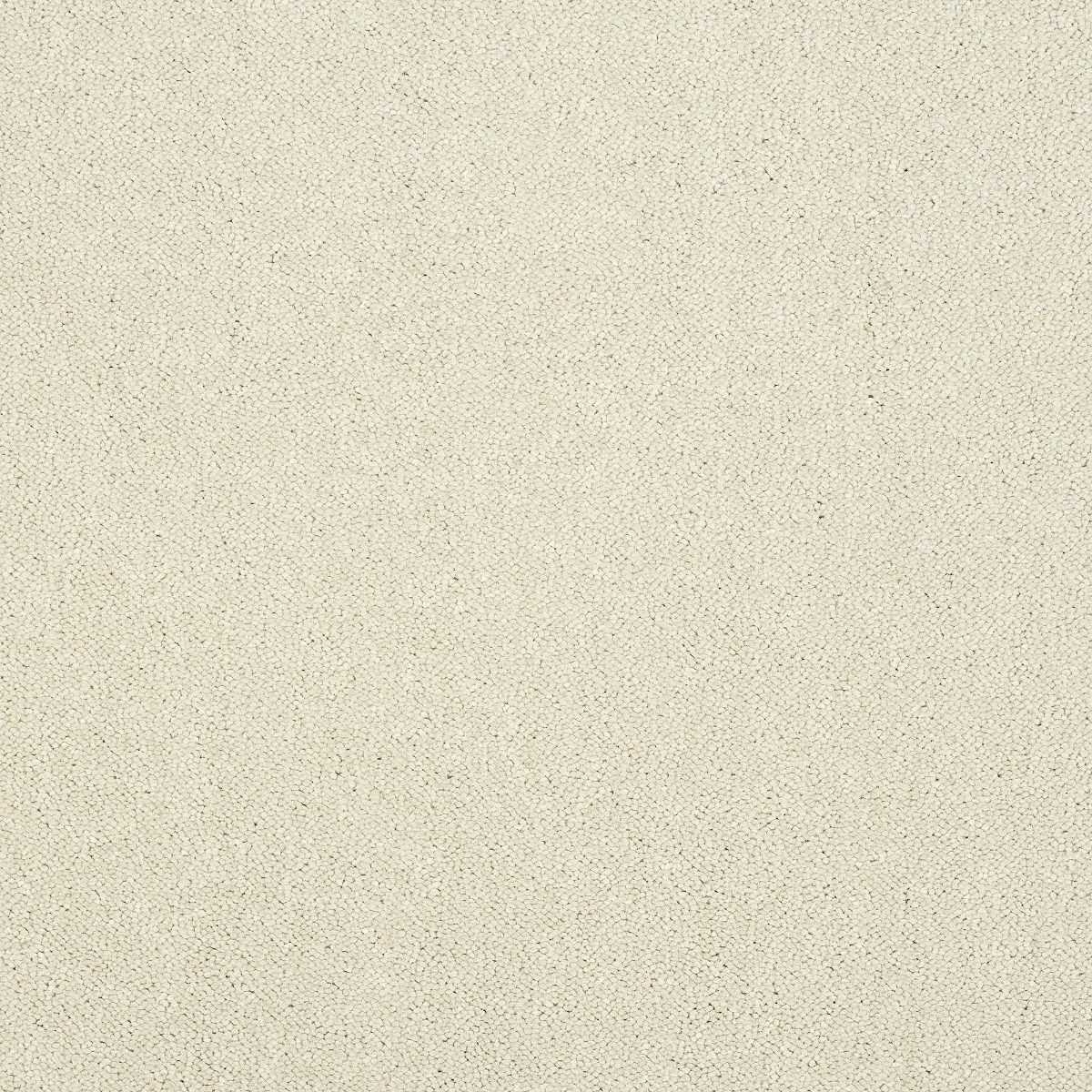 Abingdon Carpet Stainfree Captivation Cloudy Dreams