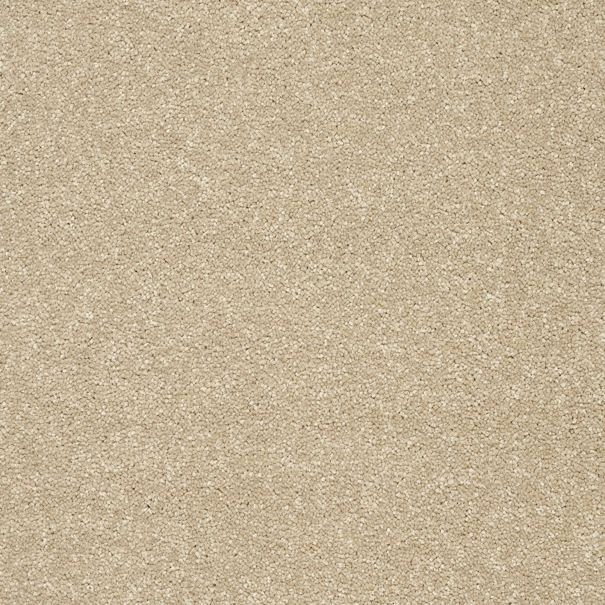 Abingdon Carpets Stainfree Twist Twisted Cotton