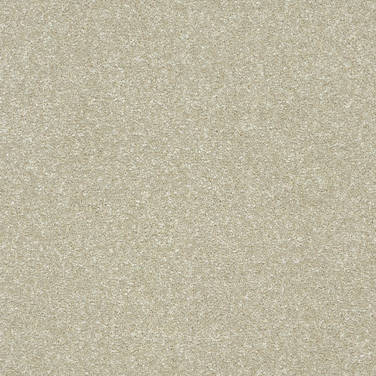 Abingdon Carpets Stainfree Twist Dove