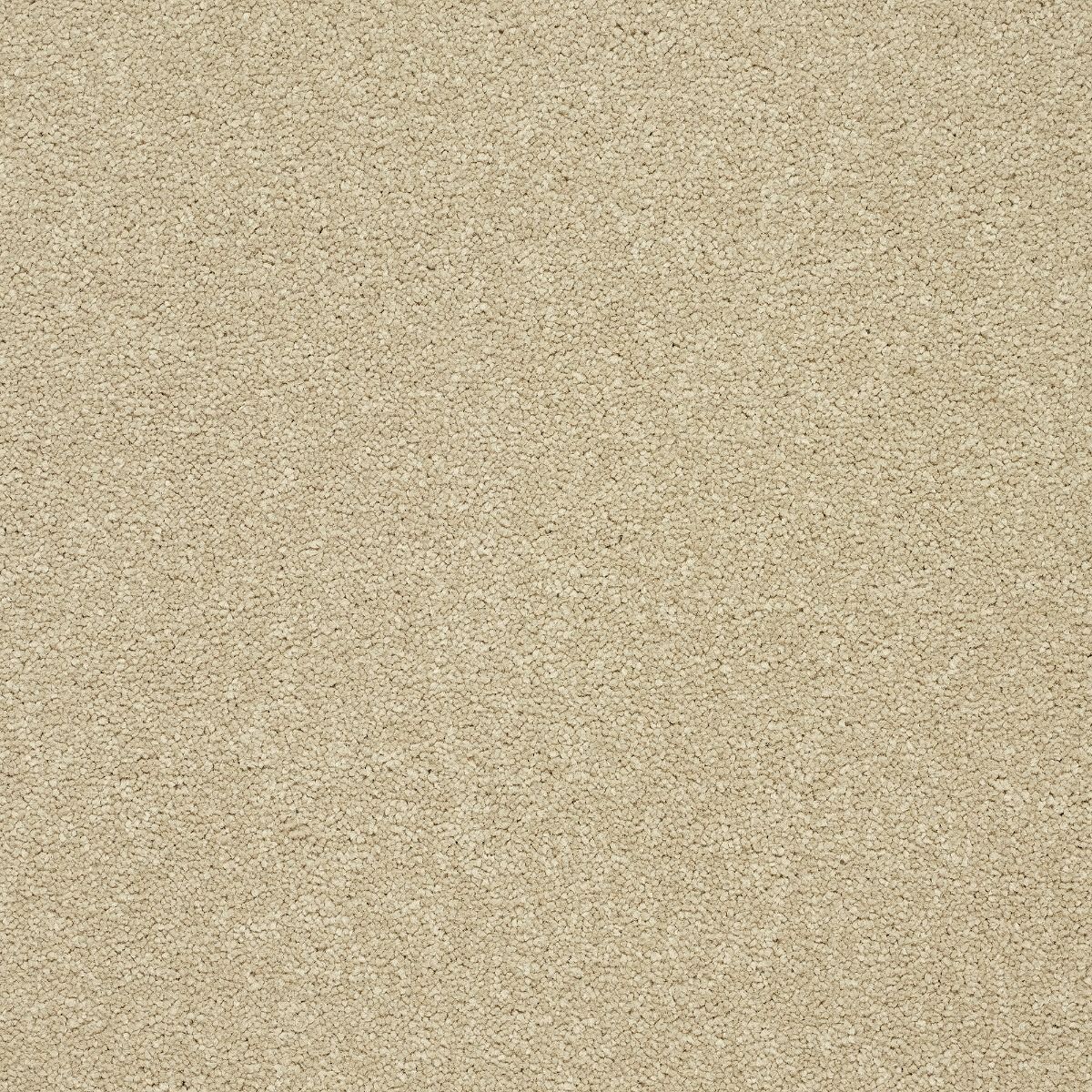 Abingdon Carpets Stainfree Twist Timeless