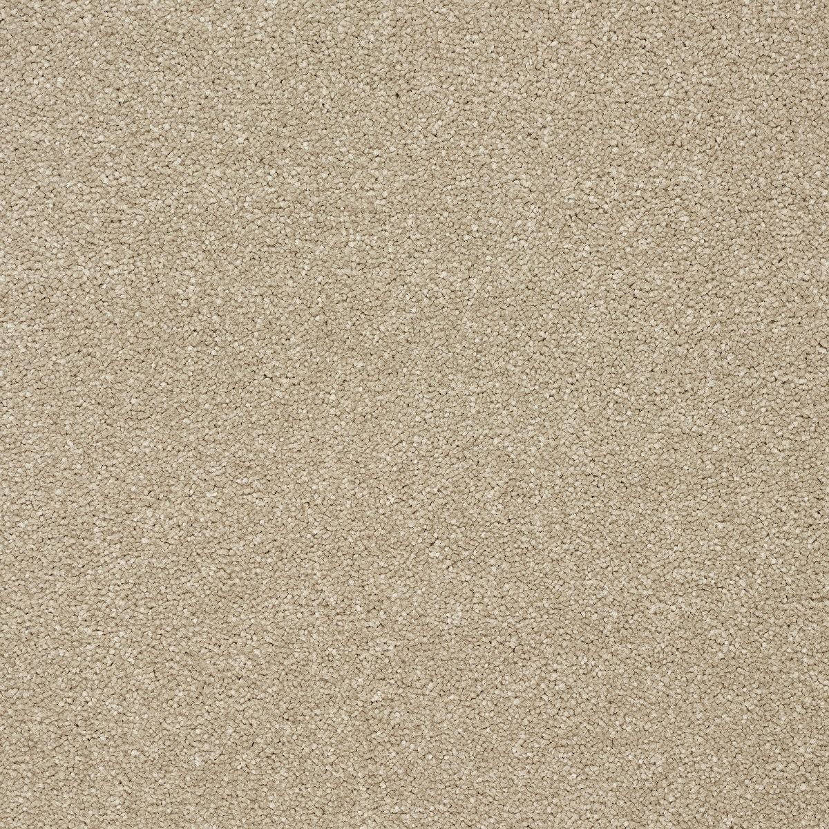 Abingdon Carpets Stainfree Twist Dark Ecru