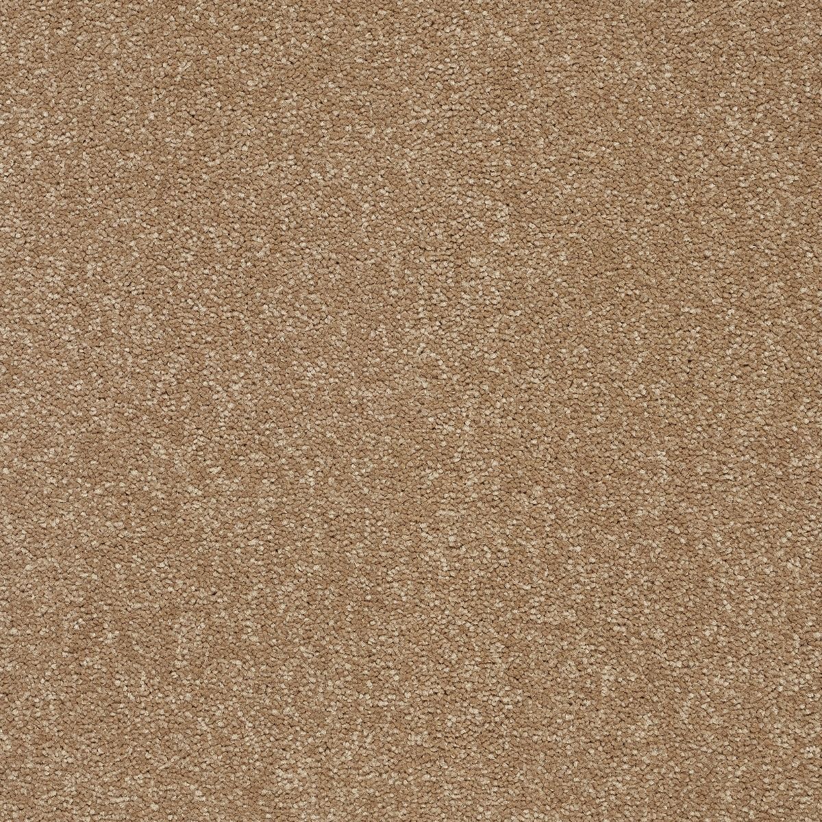 Abingdon Carpets Stainfree Twist Mocha