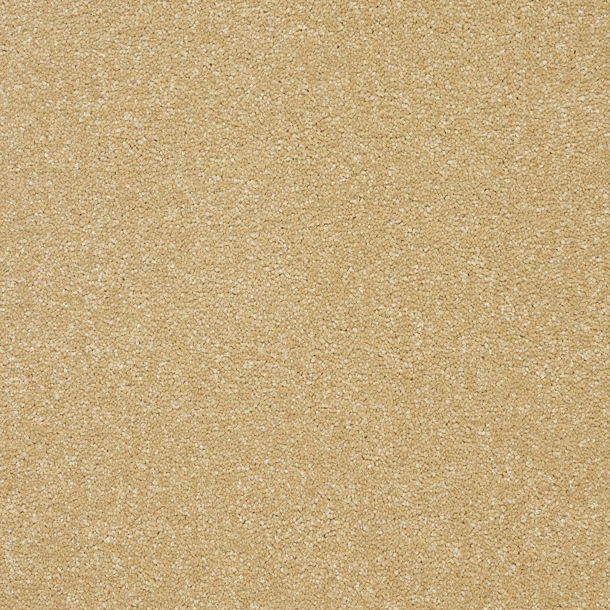 Abingdon Carpets Stainfree Twist Mocha