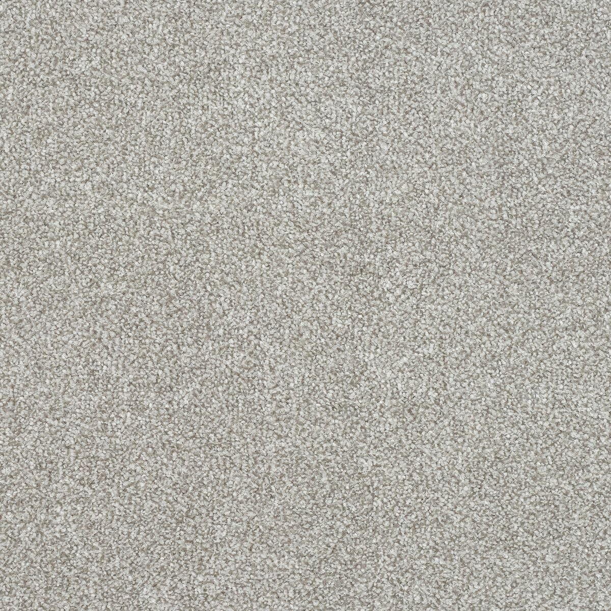 Abingdon Carpets Stainfree Ultra Soft Shadow