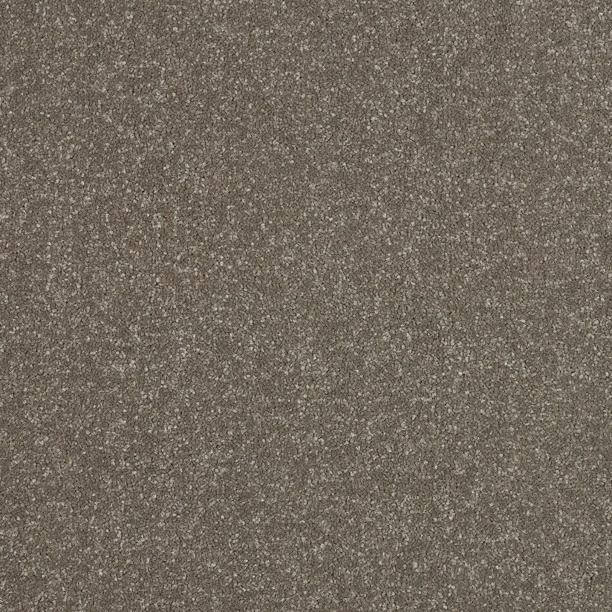 Abingdon Carpets Stainfree Ultra Dolomite