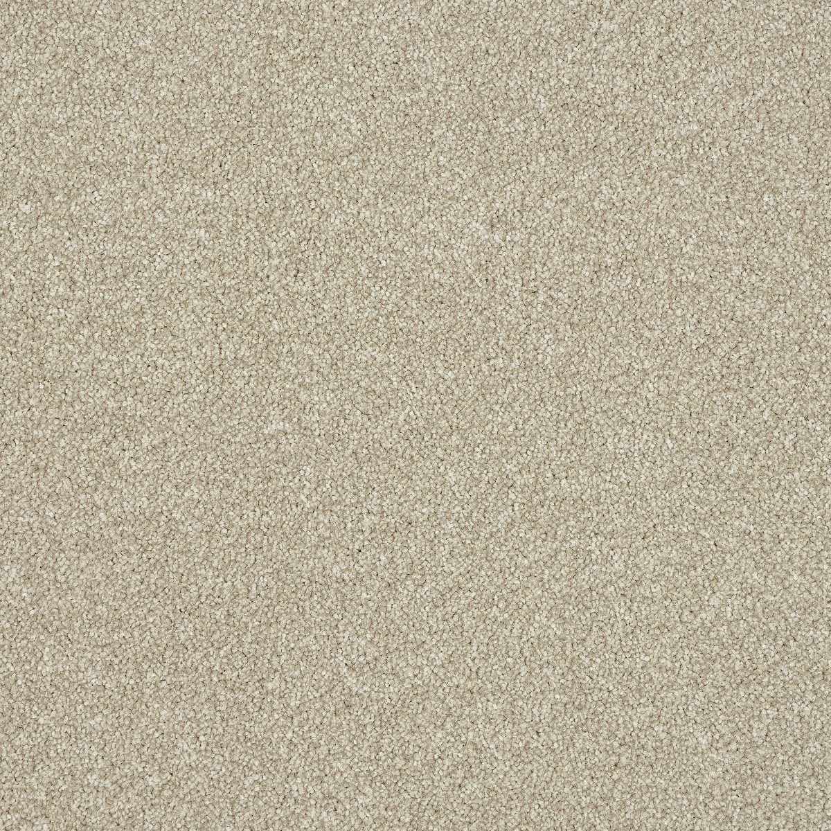 Abingdon Carpets Stainfree Ultra Oat