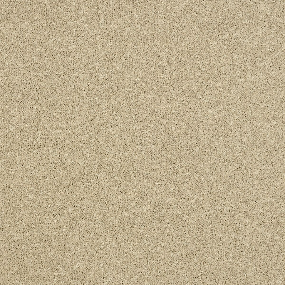 Abingdon Carpets Stainfree Ultra Antique Cream