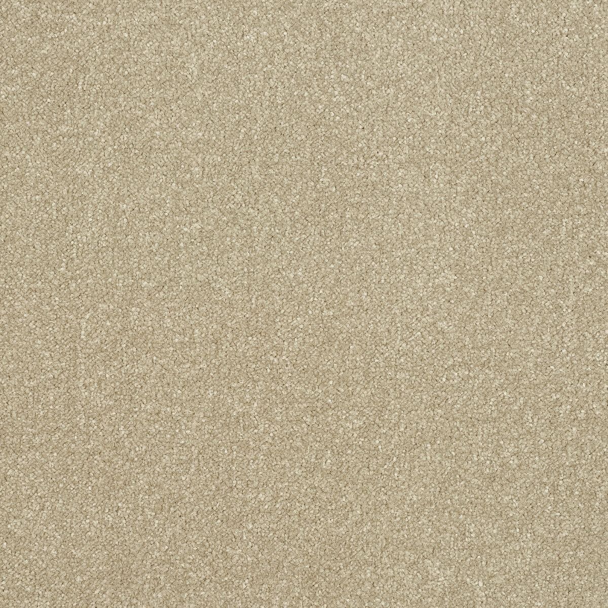 Abingdon Carpets Stainfree Ultra Country Beige