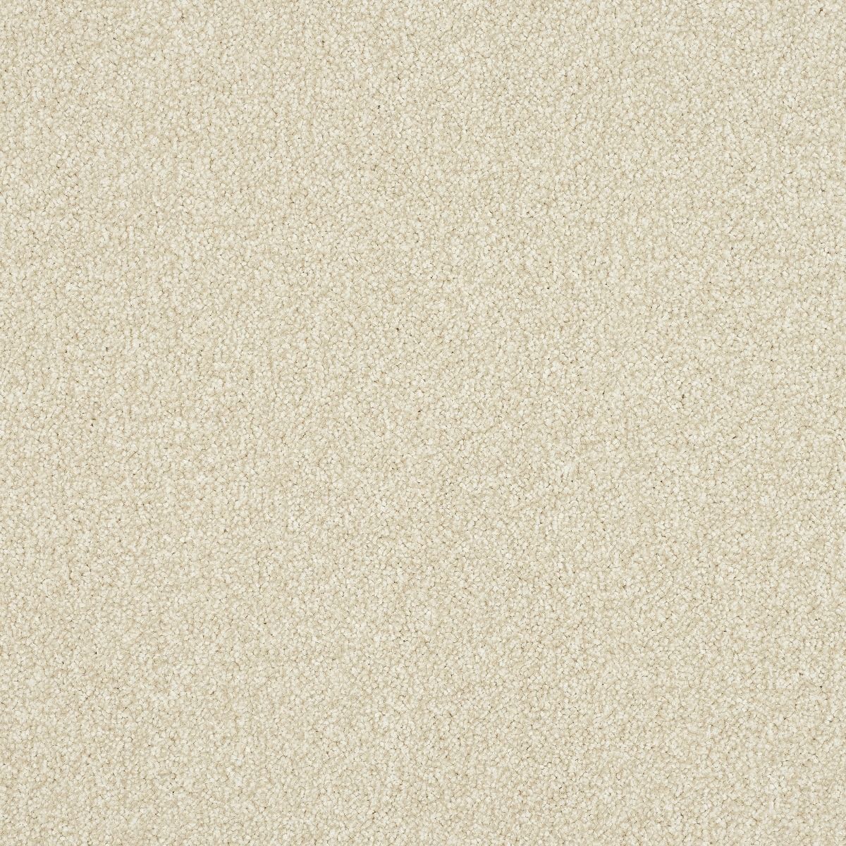 Abingdon Carpets Stainfree Ultra Powder
