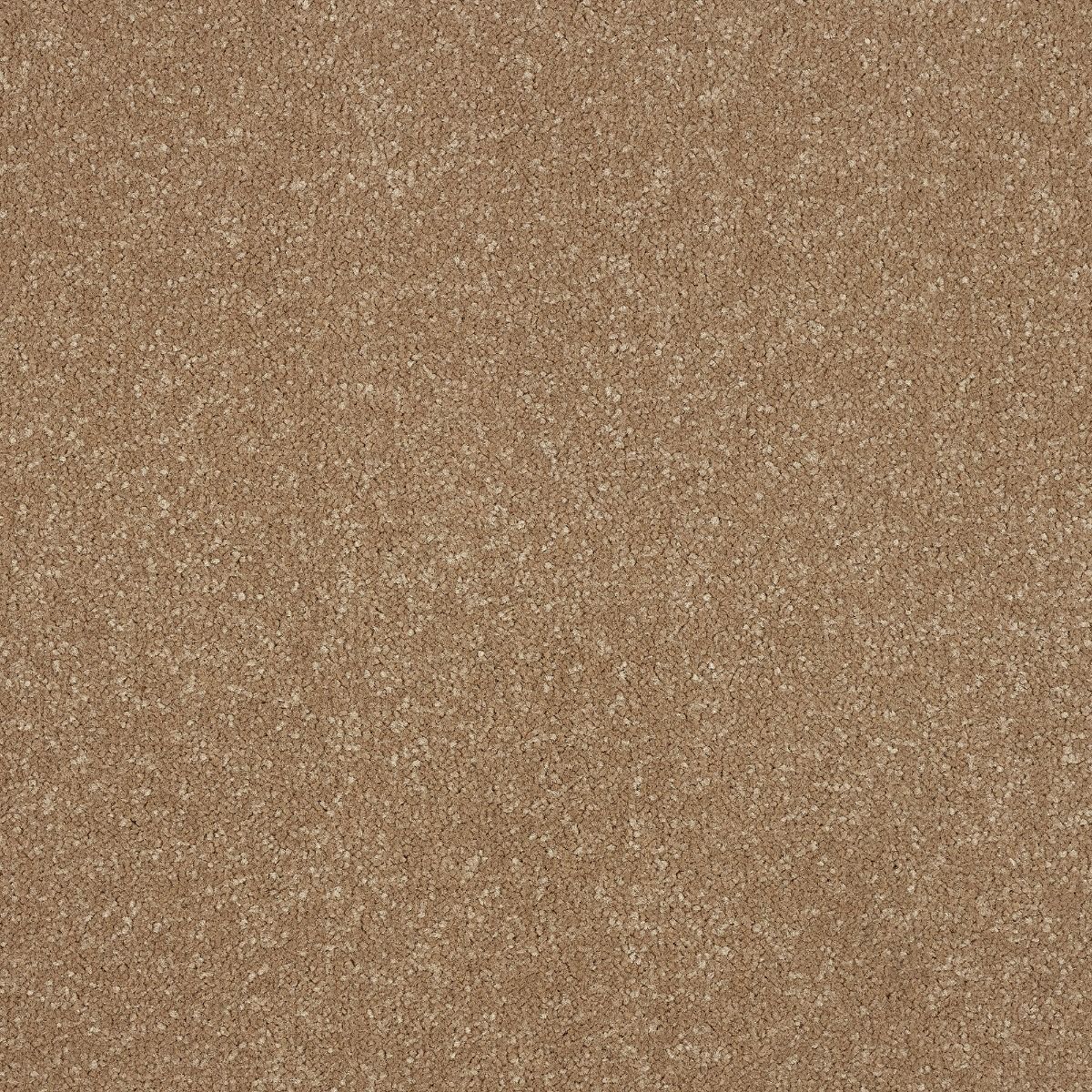 Abingdon Carpets Stainfree Ultra Cocoa Cream