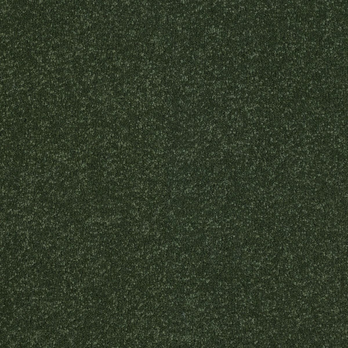 Abingdon Carpets Stainfree Ultra Moss