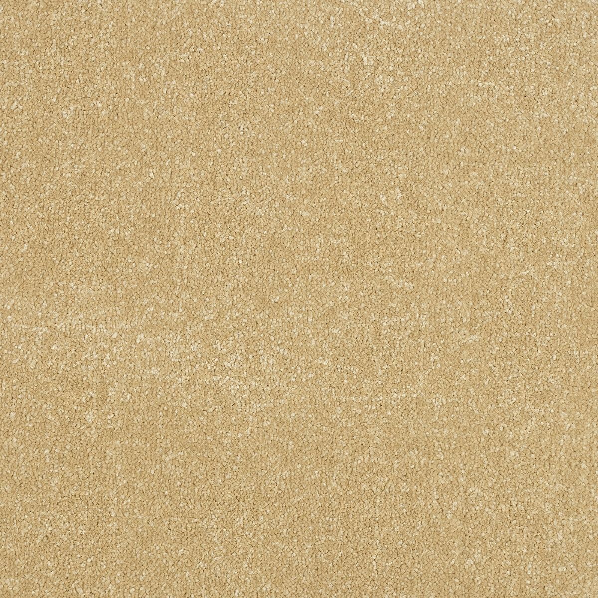 Abingdon Carpets Stainfree Ultra Hampton
