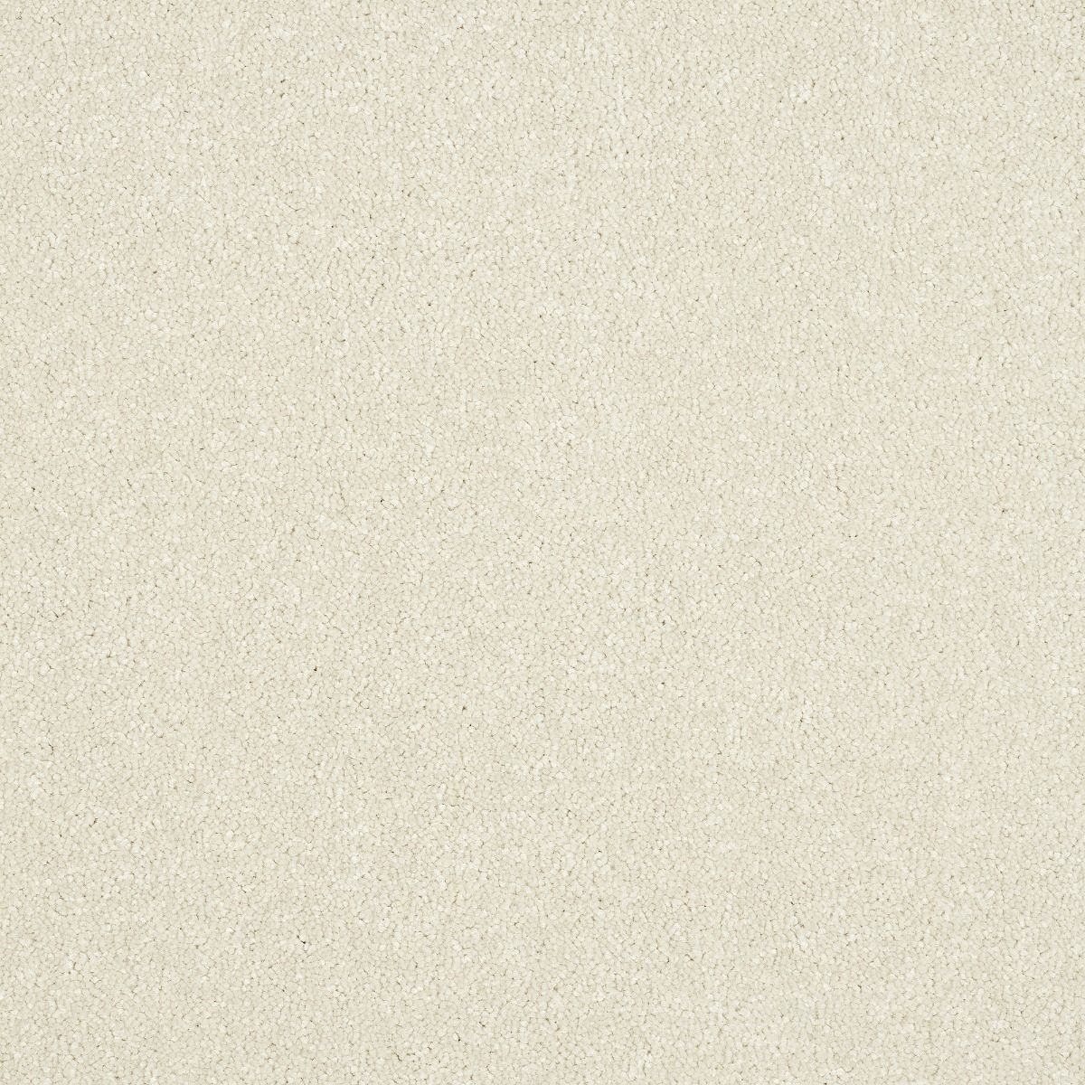 Abingdon Carpets Stainfree Maximus Pearl
