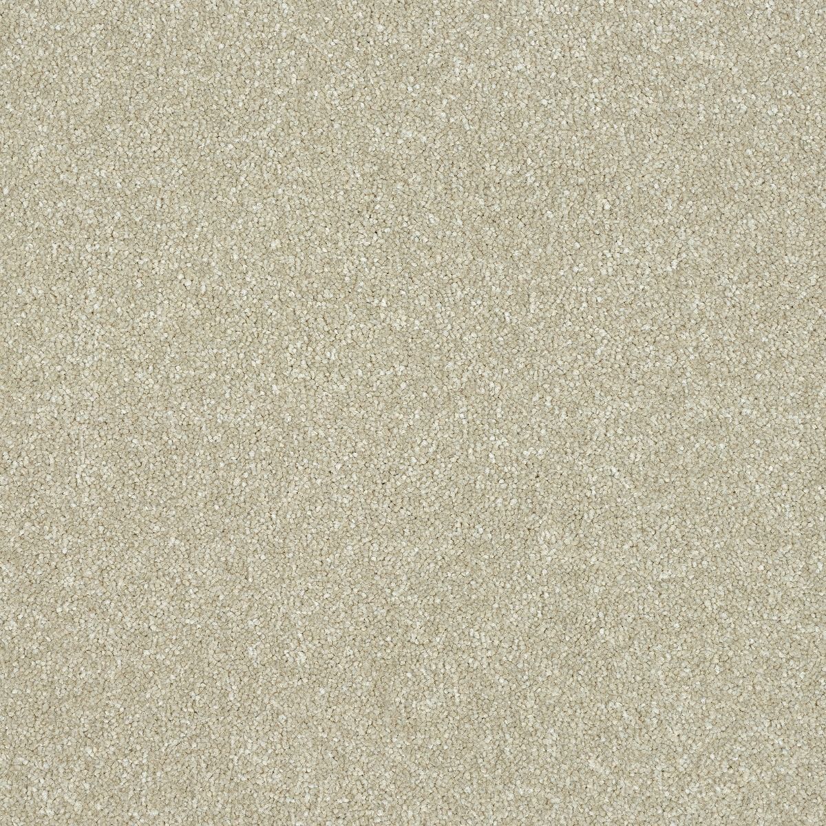 Abingdon Carpets Stainfree Maximus Dove