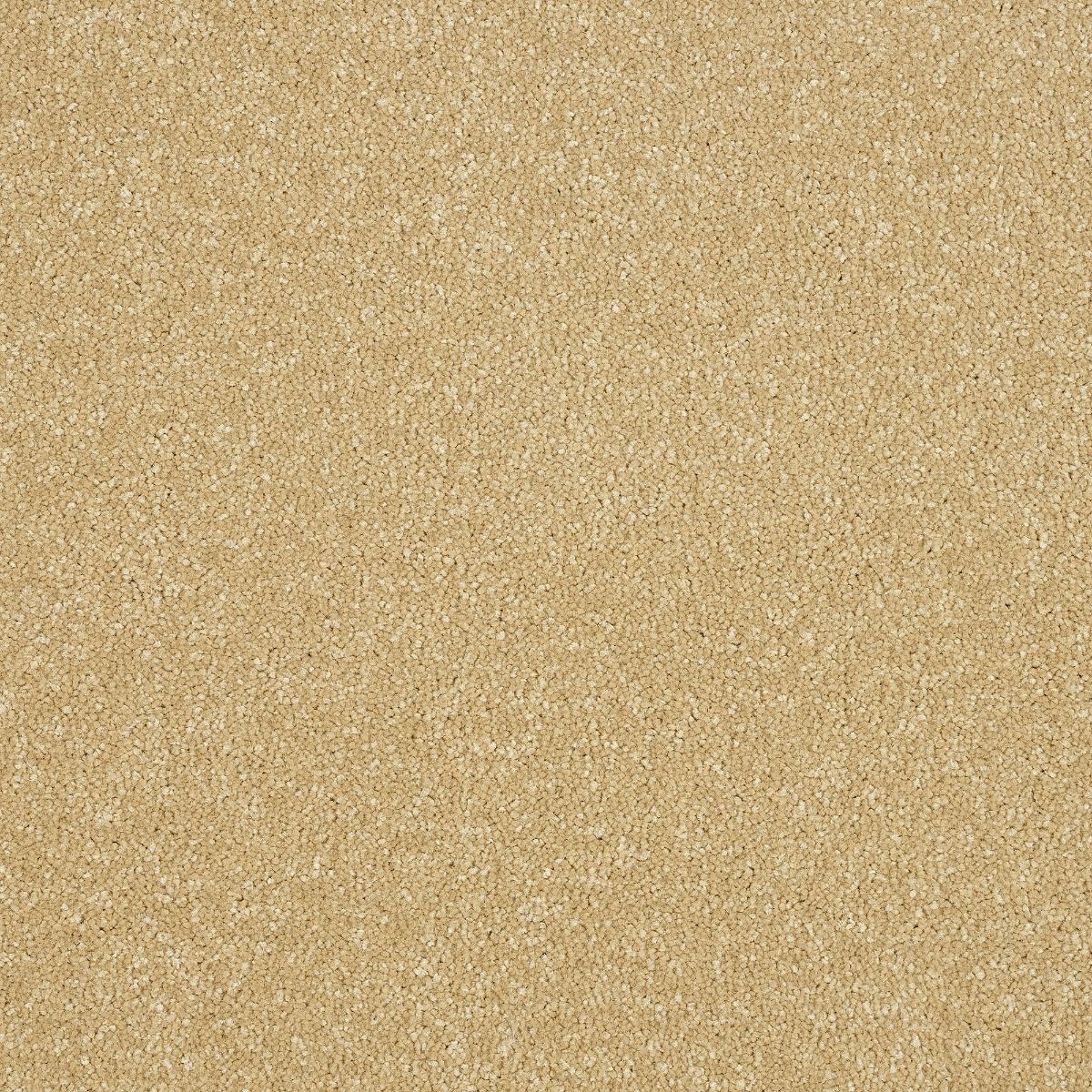 Abingdon Carpets Stainfree Maximus Basil