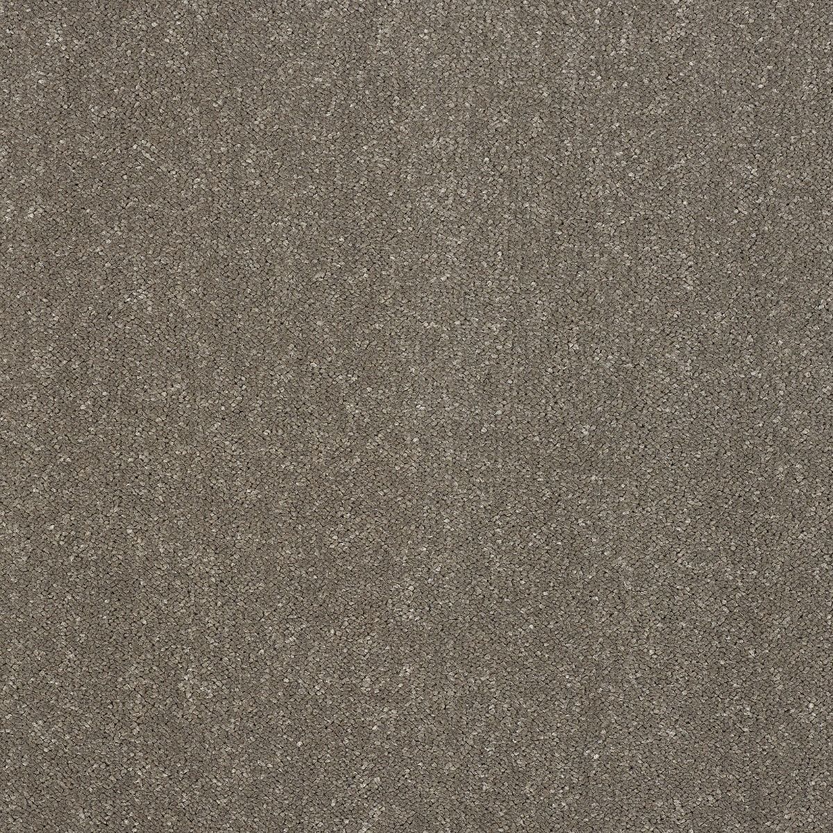 Abingdon Carpet Stainfree Captivation Seneca Rock