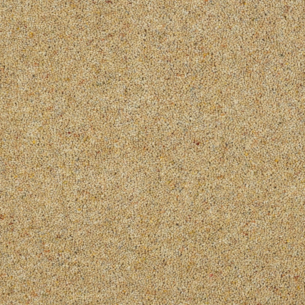 Abingdon Carpet Wilton Royal Charter Berber Deluxe Summer Sun 
