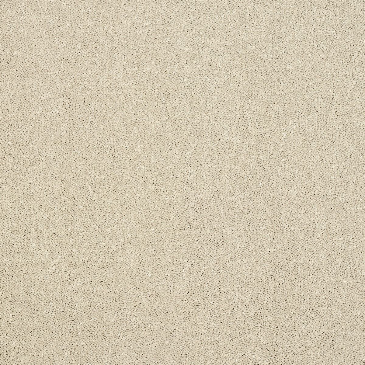 Abingdon Carpet Stainfree Captivation Seneca Rock