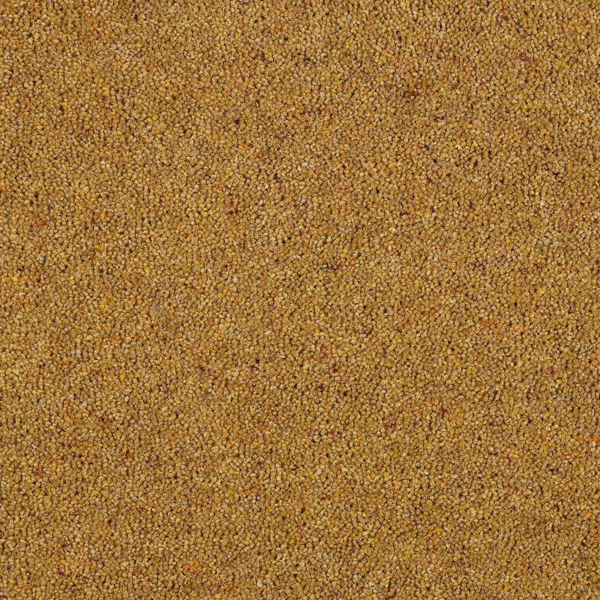Abingdon Carpet Wilton Royal Charter Berber Deluxe Mustard 