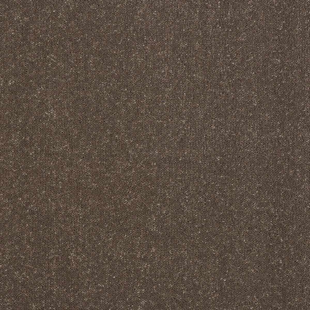 Abingdon Carpet Stainfree Captivation Pentland