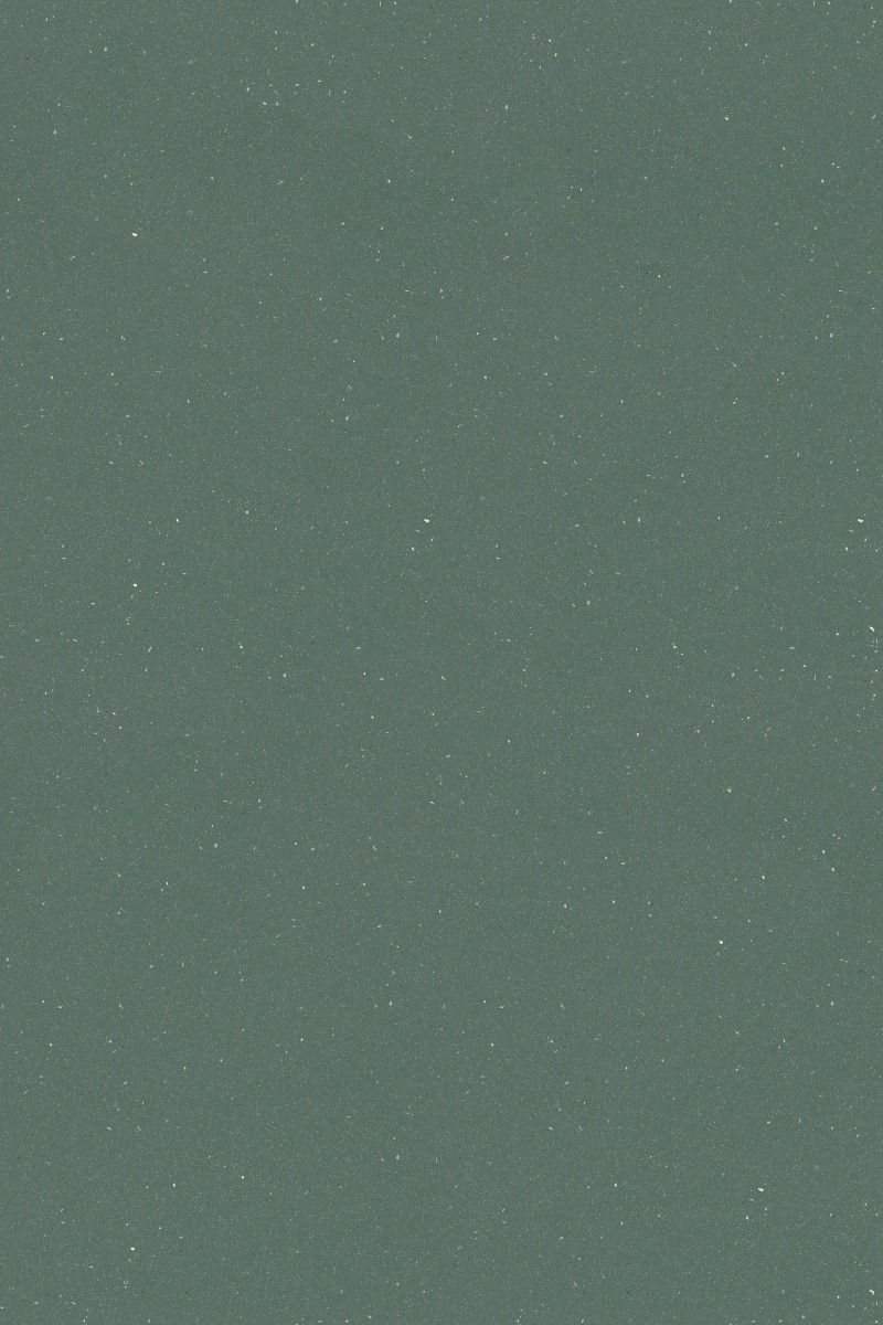 Dark Kelp 172072