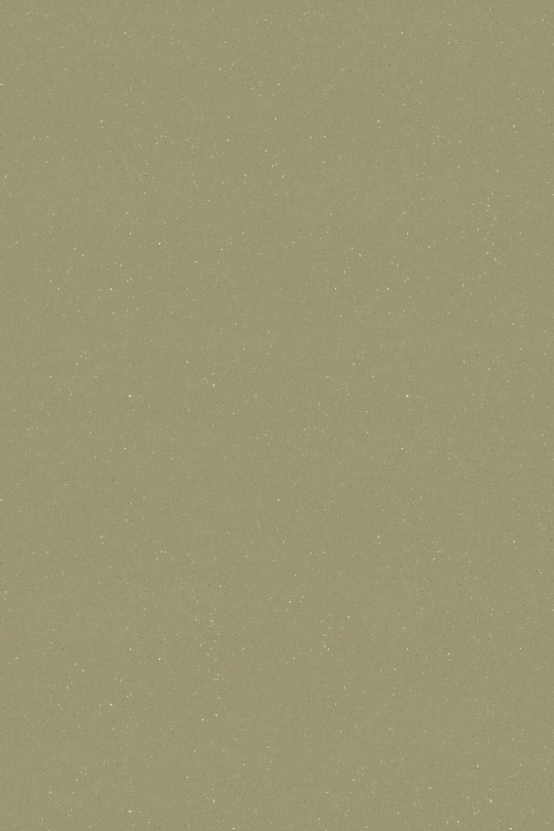Moss 172542