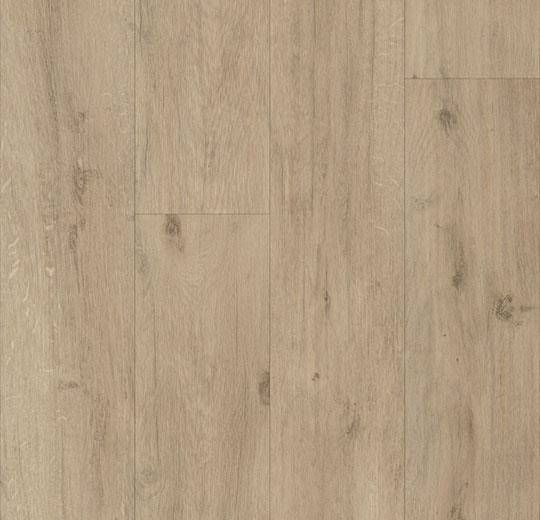 Forbo Acoustic Eternal De Luxe Decibel Natural Oak 3045