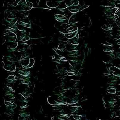 JHS Geneva Matting Sheet Forest Green 29