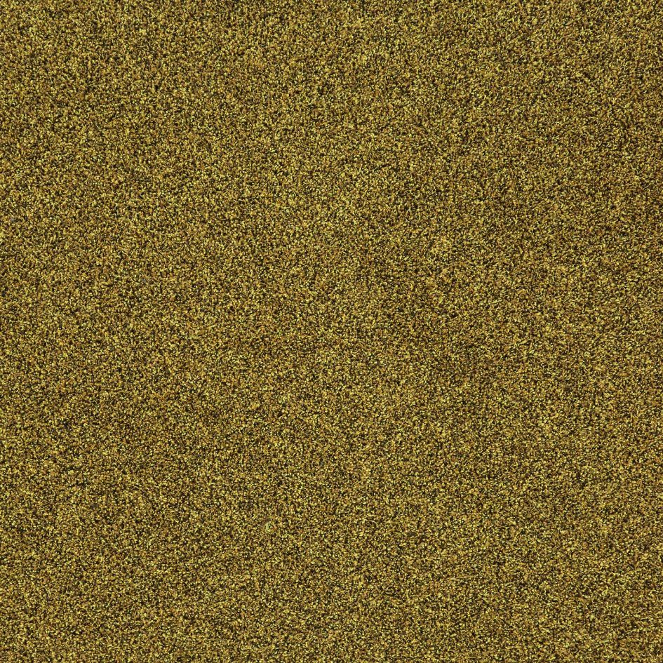 Pearl 33202