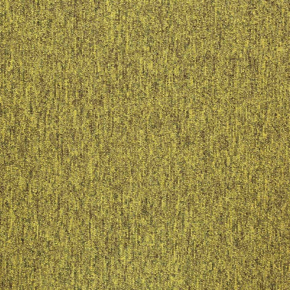 Shadow 36204