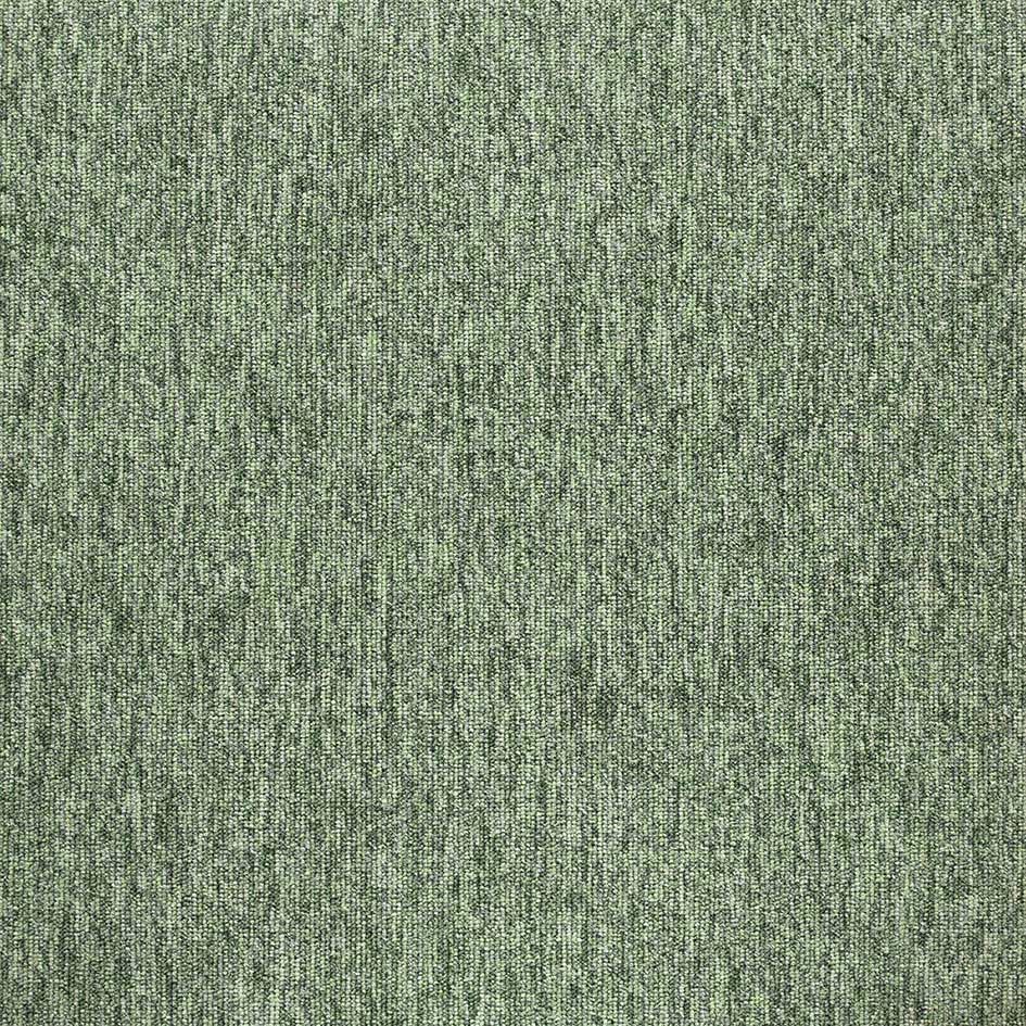 Shadow 36204