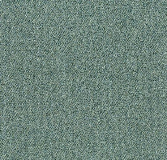 Fern 3627