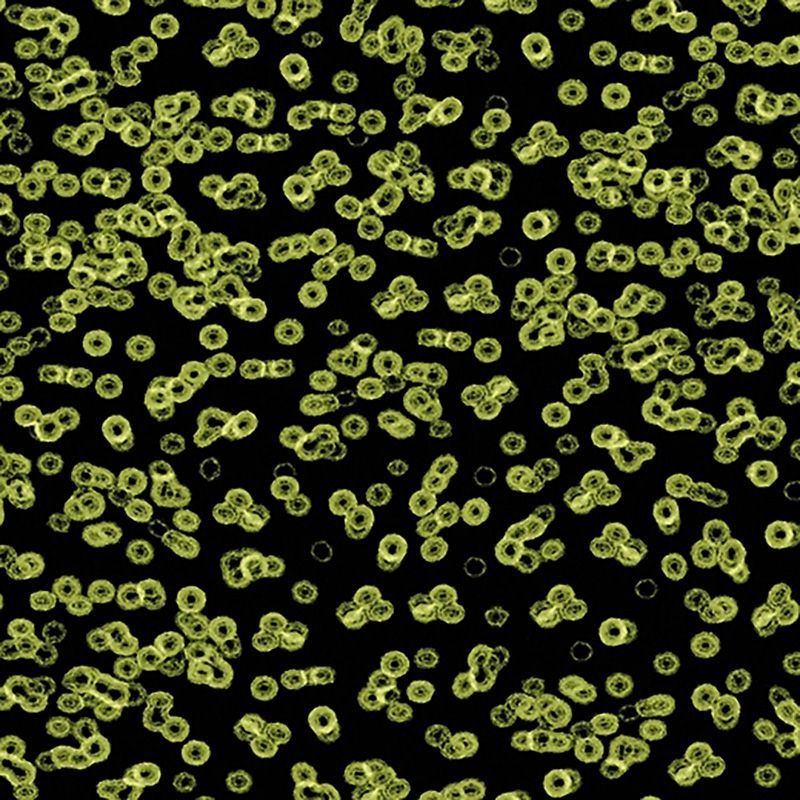 Forbo Flotex Sottsass Carpet Bacteria 990102