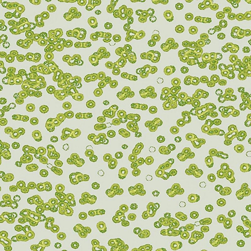 Forbo Flotex Sottsass Carpet Bacteria 990102