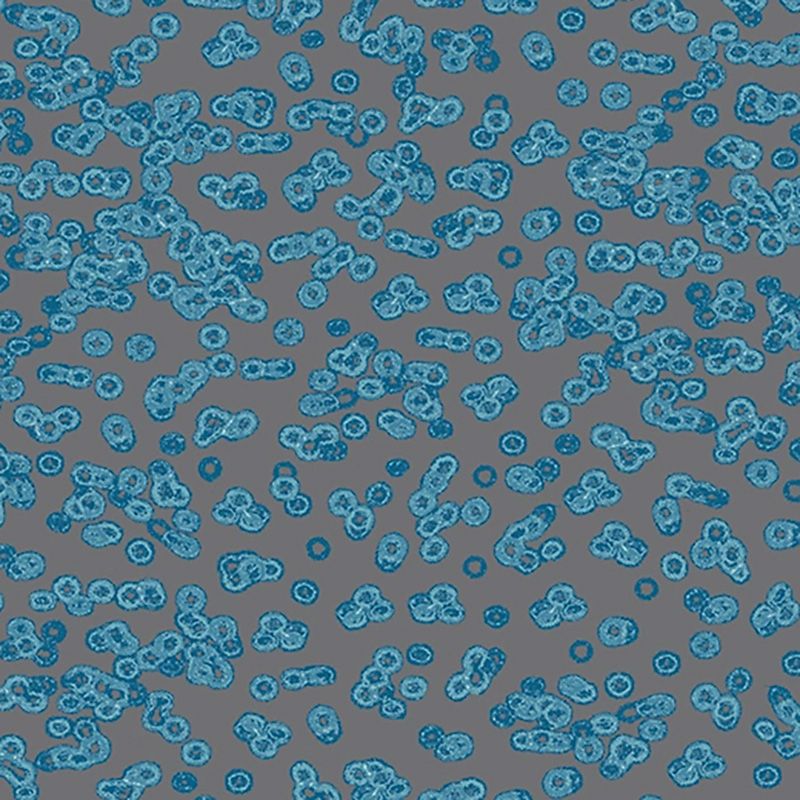 Forbo Flotex Sottsass Carpet Bacteria 990102