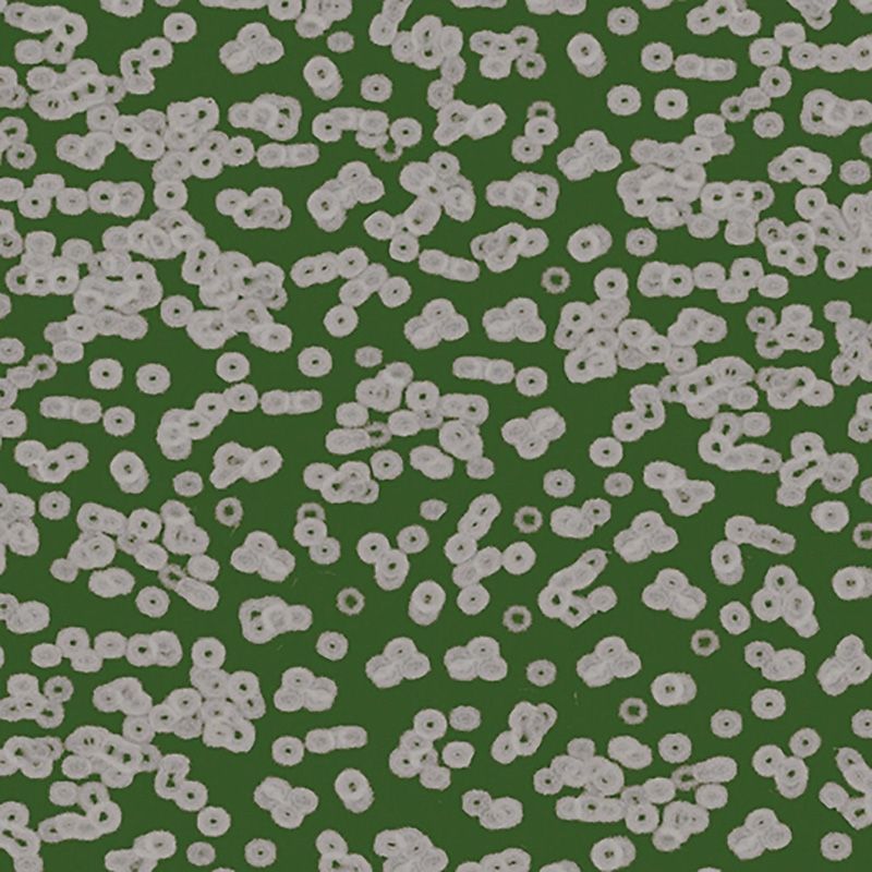 Forbo Flotex Sottsass Carpet Bacteria 990102
