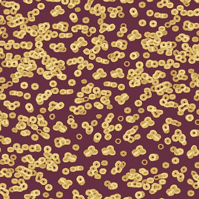 Forbo Flotex Sottsass Carpet Bacteria 990102
