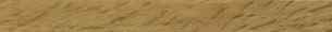 Karndean - Design Strips - DS03 Honey