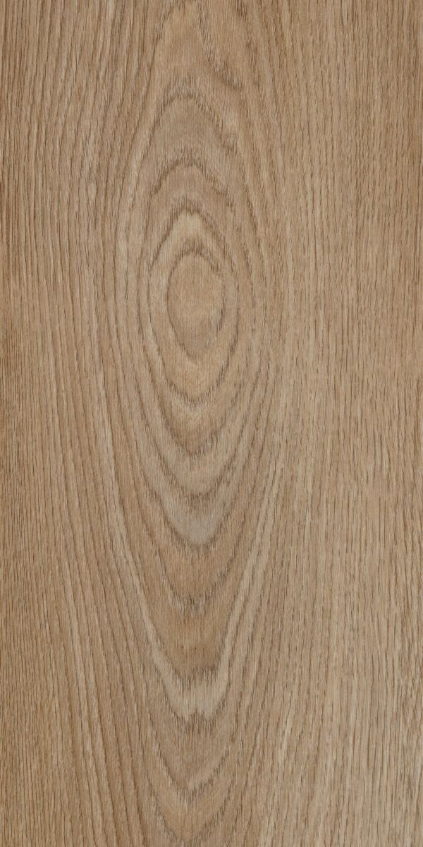 Whitewash Elegant Oak 60064CF5