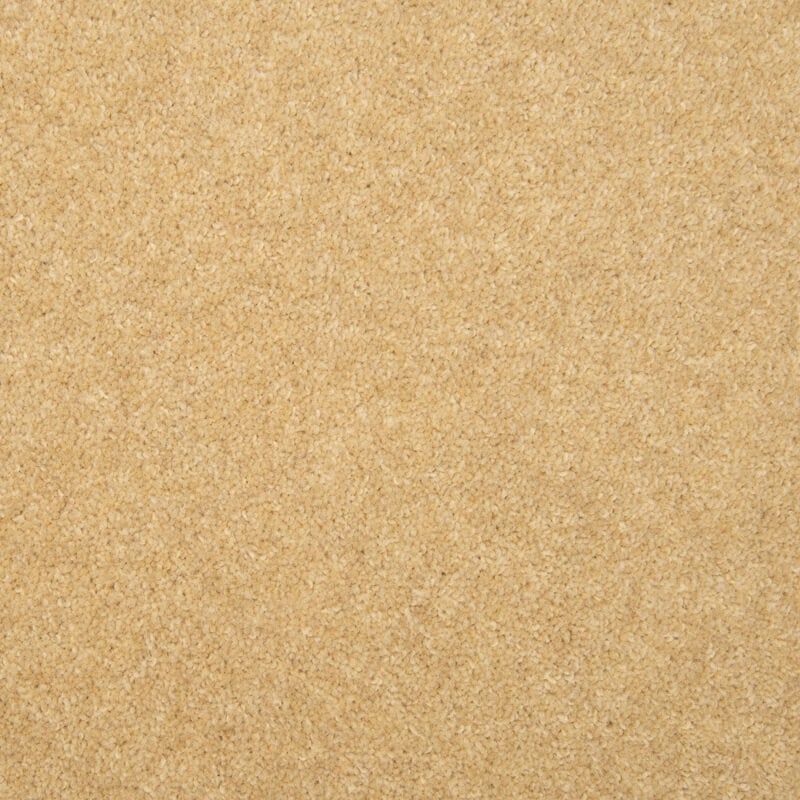 Penthouse Carpets Esprit Nouveau Altair 60oz