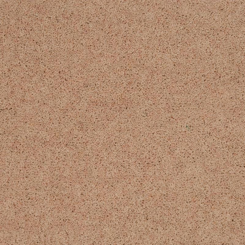 Penthouse Carpets Pentwist Naturals Ammonite 50oz